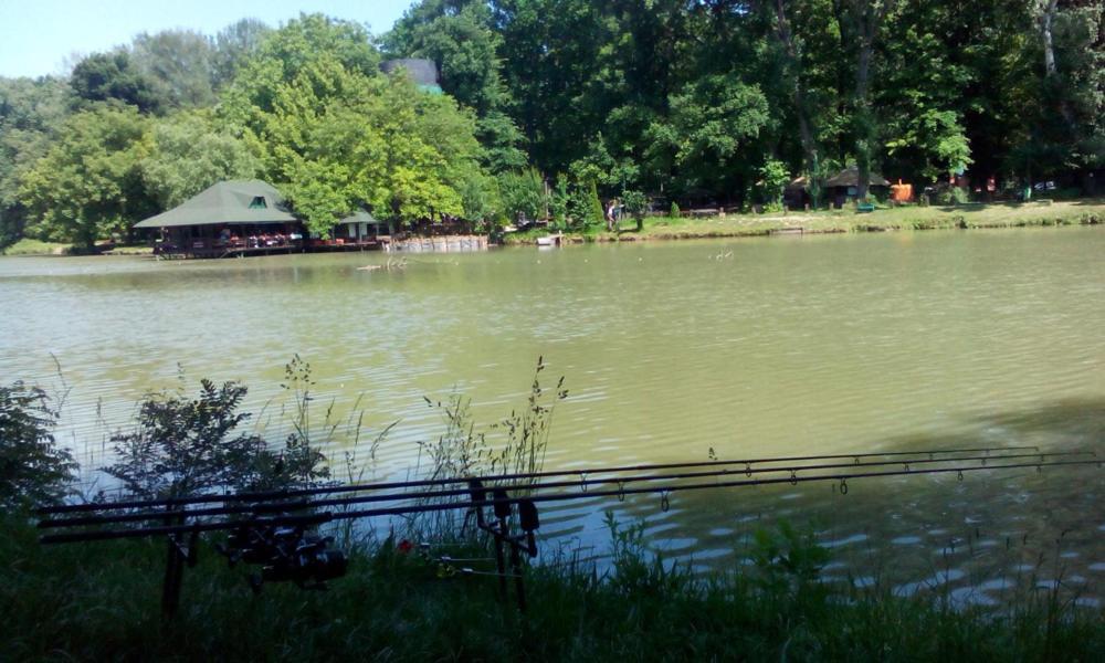Monia Dream Apartment - Belgrade Lake & Fair Exterior foto